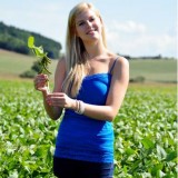 Соя Кордоба 1 репродукція