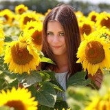 Соняшник Каррера СЛП