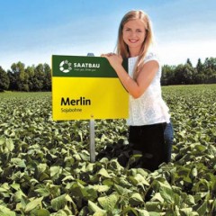 Соя Мерлін 1 репродукція