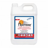 Протеже - 10 л.