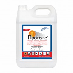 Протеже - 10 л.