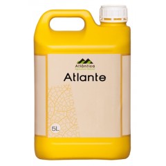Атланте - 5 л.